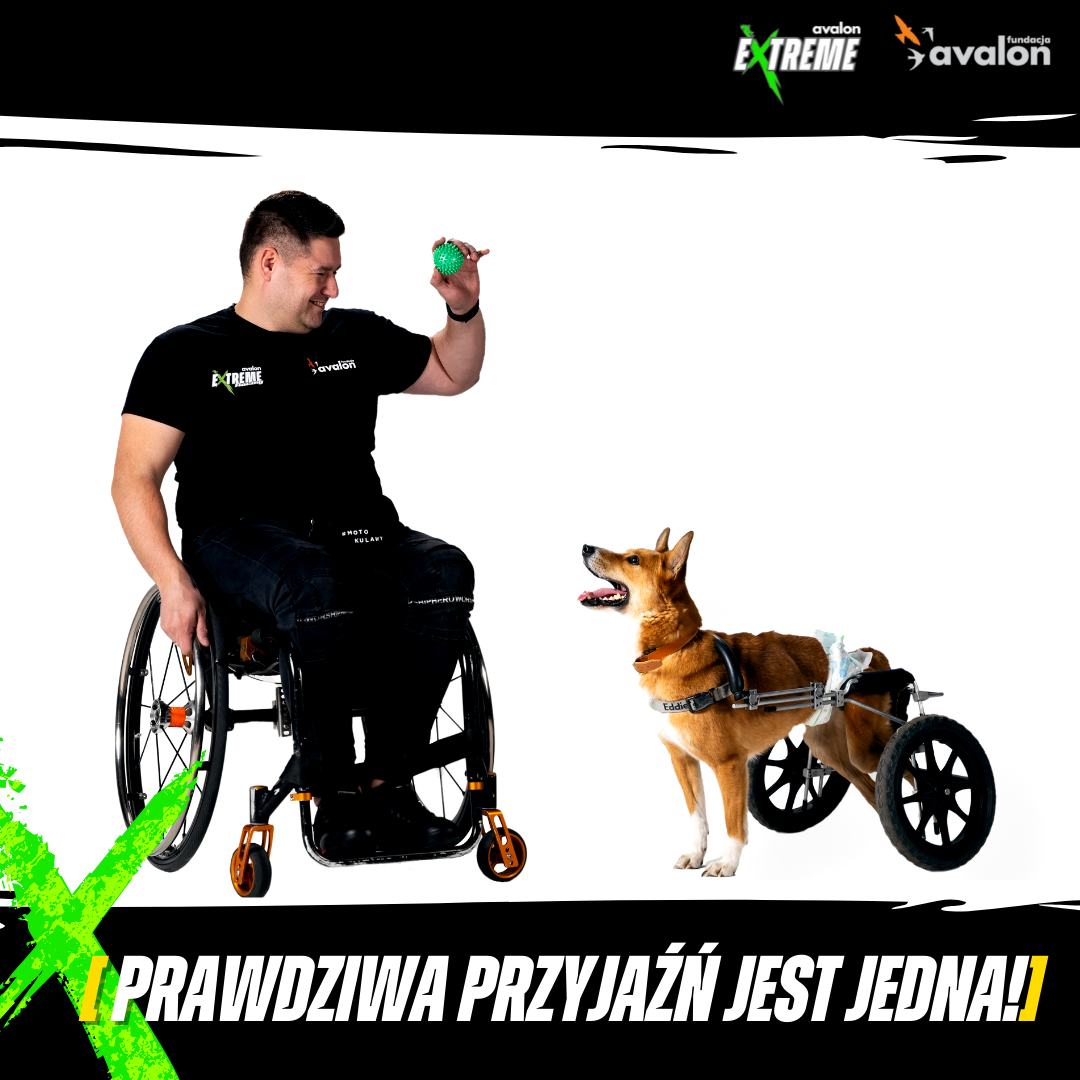 Na zdjęciu znajduje się Kamil Kosela, którzy trzyma w rękę małą piłkę. Obok pies na wózku przygląda się zabawce w ręku mężczyzny. Pod spodem znajduje się napis: Prawdziwa przyjaźń jest jedna.