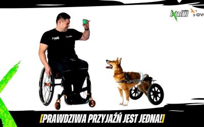 Prawdziwa przyjaźń jest jedna!